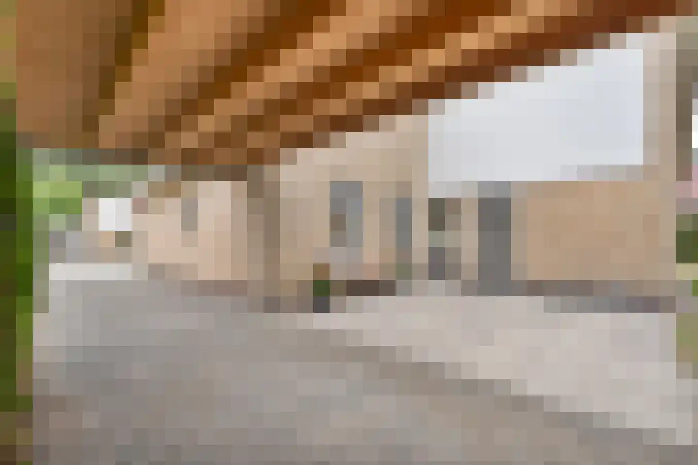 Lindenlaan 139 Ommen thumbnail 45