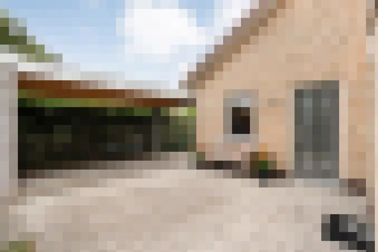 Lindenlaan 139 Ommen thumbnail 46