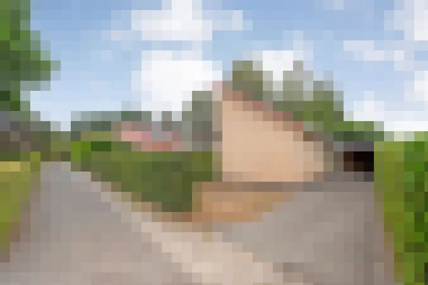 Lindenlaan 139 Ommen thumbnail 48
