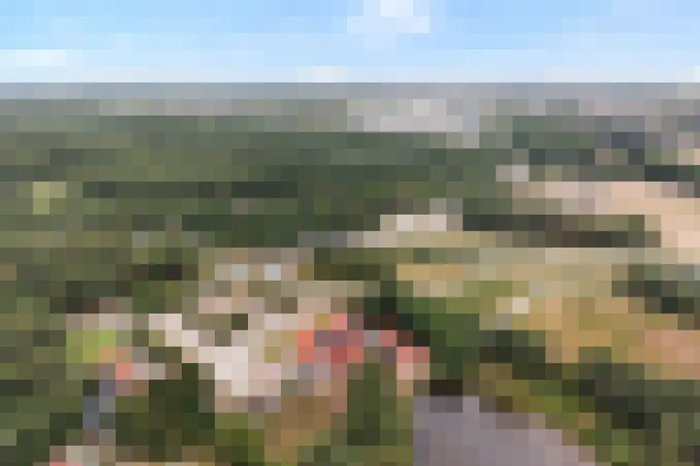 Lindenlaan 139 Ommen thumbnail 50