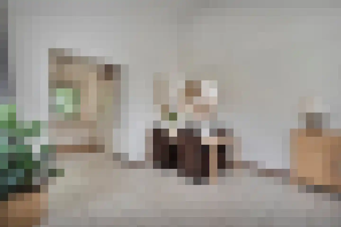 Lindenlaan 139 Ommen thumbnail 7
