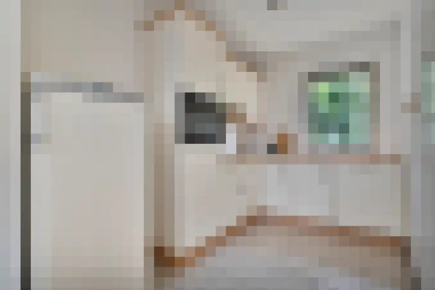 Lindenlaan 139 Ommen thumbnail 8