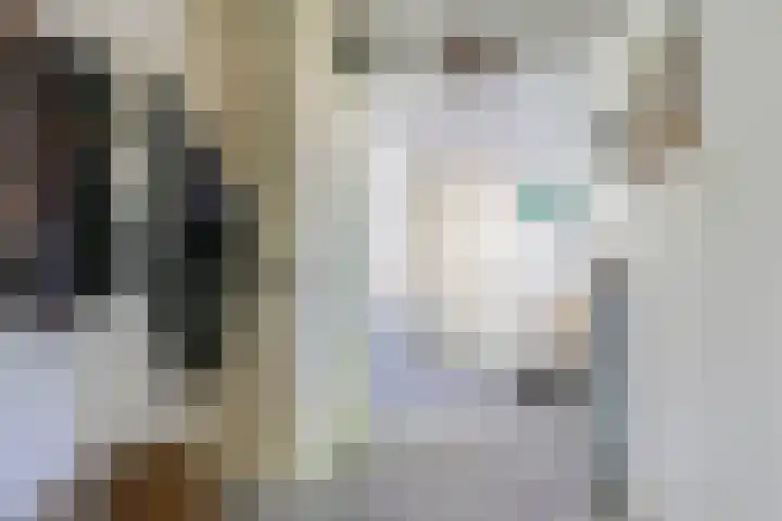 Lindenlaan 14 Dodewaard thumbnail 28