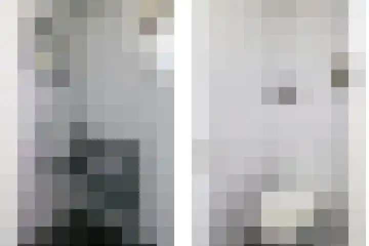 Lindenlaan 14 Dodewaard thumbnail 29