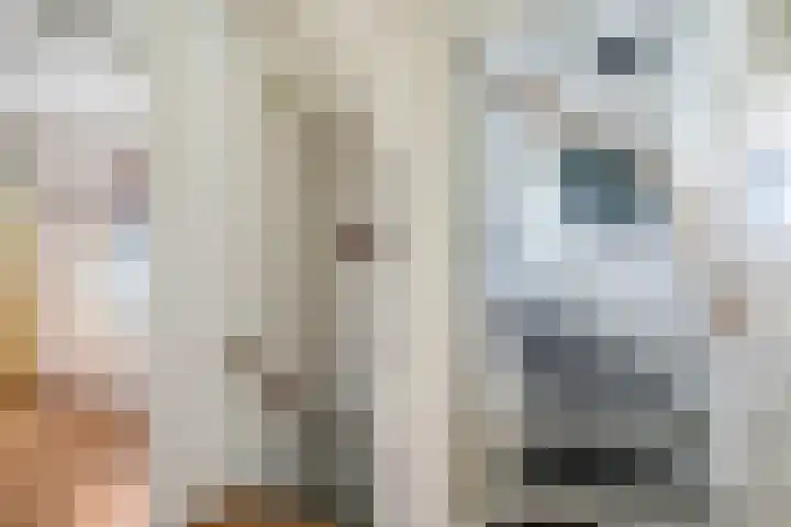 Lindenlaan 14 Dodewaard thumbnail 41