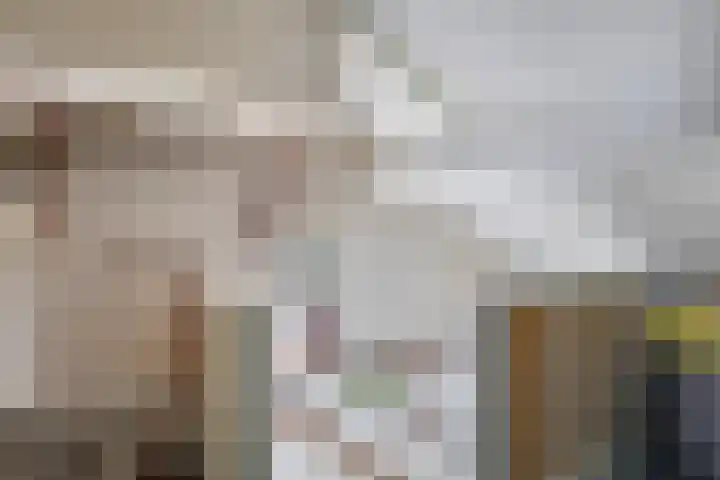 Lindenlaan 14 Dodewaard thumbnail 46