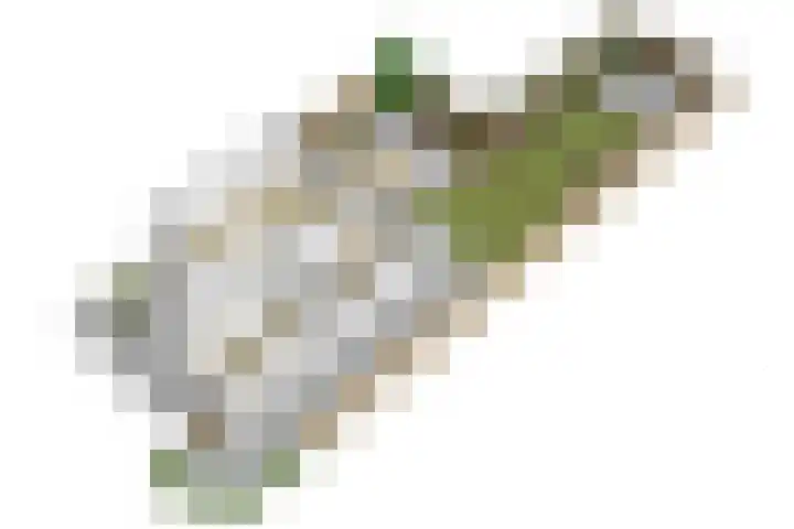 Lindenlaan 14 Dodewaard thumbnail 48