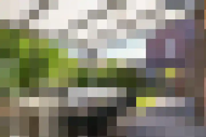 Lindenlaan 14 Dodewaard thumbnail 53