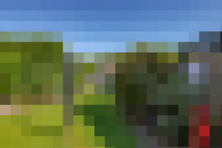 Lindenlaan 14 Dodewaard thumbnail 56
