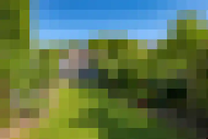 Lindenlaan 14 Dodewaard thumbnail 57