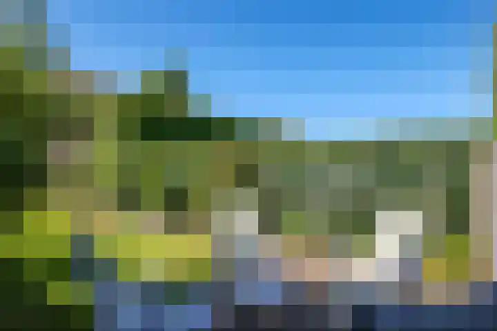 Lindenlaan 14 Dodewaard thumbnail 59