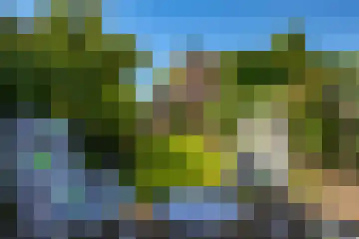 Lindenlaan 14 Dodewaard thumbnail 60