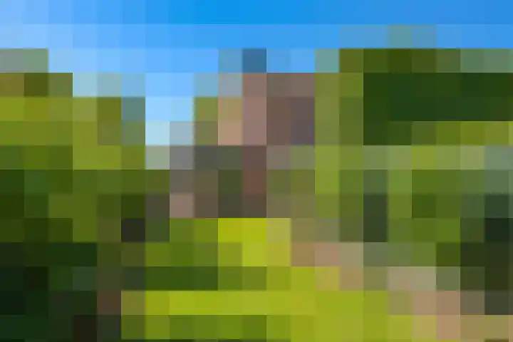 Lindenlaan 14 Dodewaard thumbnail 61