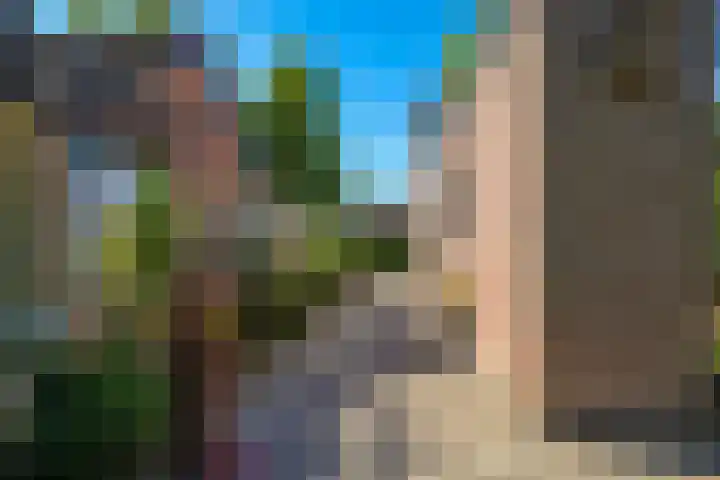 Lindenlaan 14 Dodewaard thumbnail 62