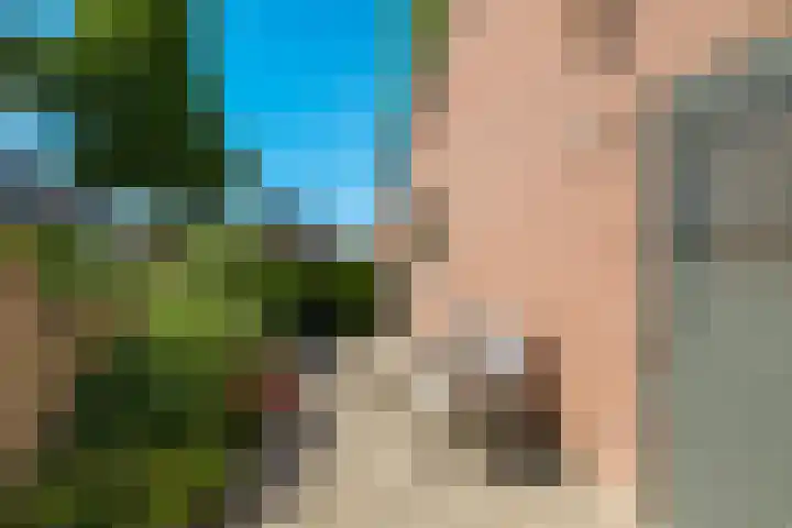 Lindenlaan 14 Dodewaard thumbnail 63