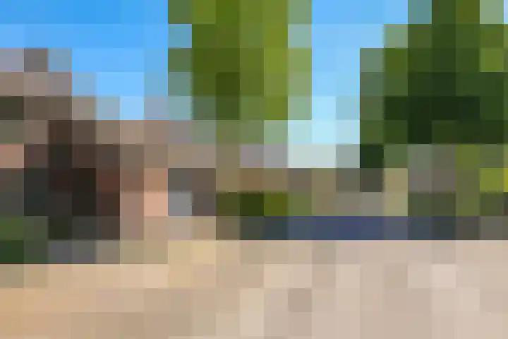 Lindenlaan 14 Dodewaard thumbnail 70