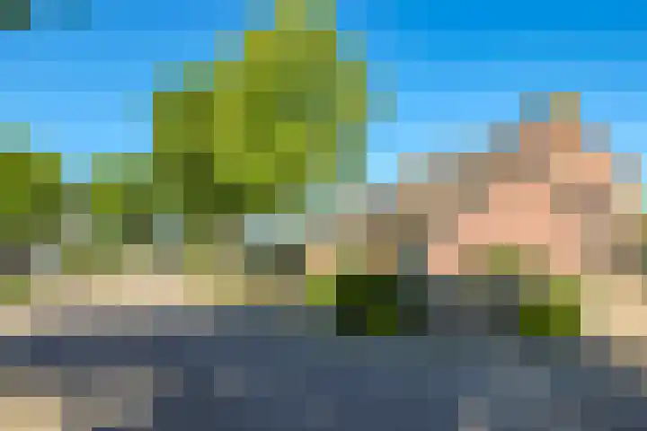 Lindenlaan 14 Dodewaard thumbnail 71