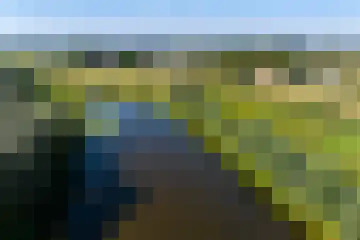 Lindenlaan 14 Dodewaard thumbnail 73