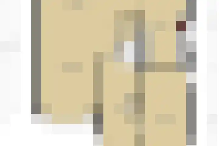 Lindenlaan 14 Dodewaard thumbnail 9