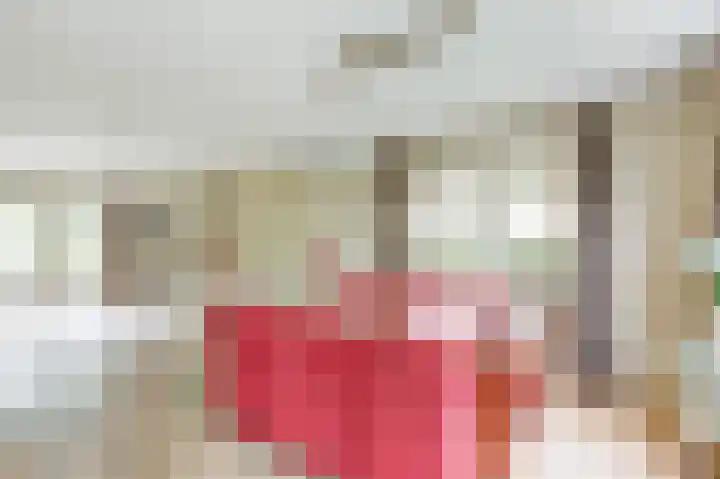 Lindenlaan 14 Dronten thumbnail 20