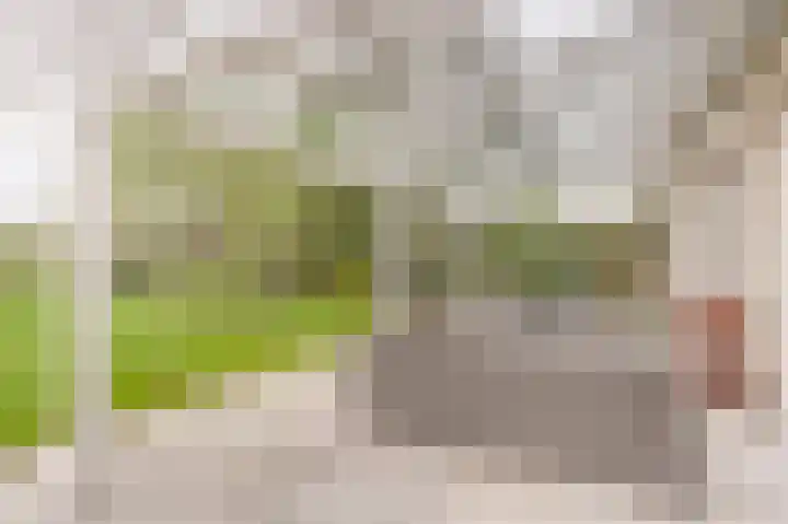 Lindenlaan 14 Dronten thumbnail 38
