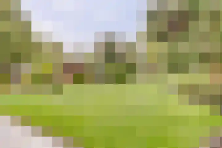 Lindenlaan 14 Dronten thumbnail 40