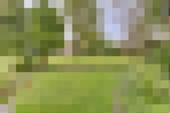 Lindenlaan 14 Dronten thumbnail 43