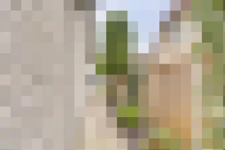Lindenlaan 14 Dronten thumbnail 44