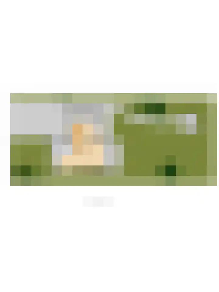 Lindenlaan 14 Dronten thumbnail 52