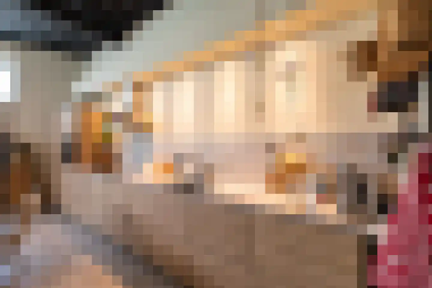 Lindenlaan 14 Kerkrade thumbnail 13