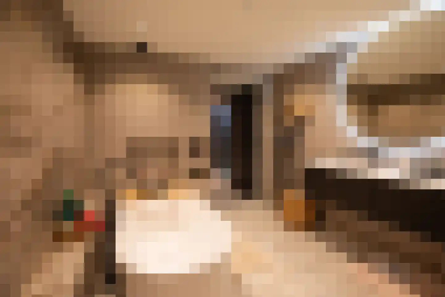 Lindenlaan 14 Kerkrade thumbnail 18