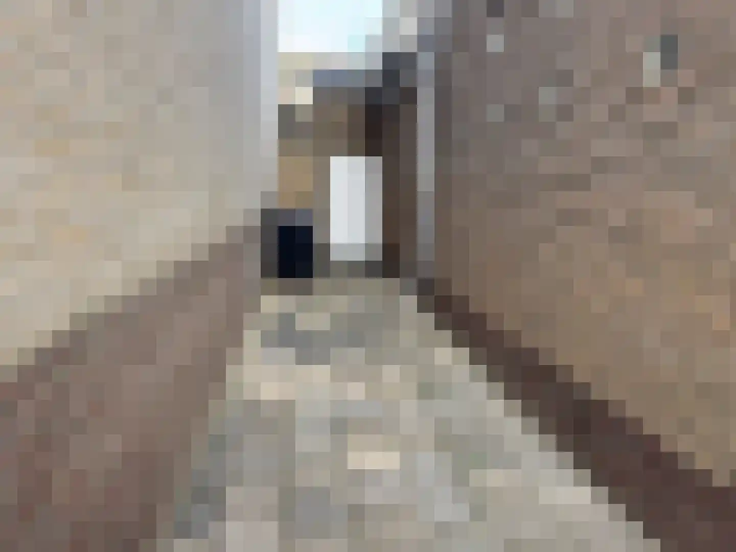Lindenlaan 14 Kerkrade thumbnail 21