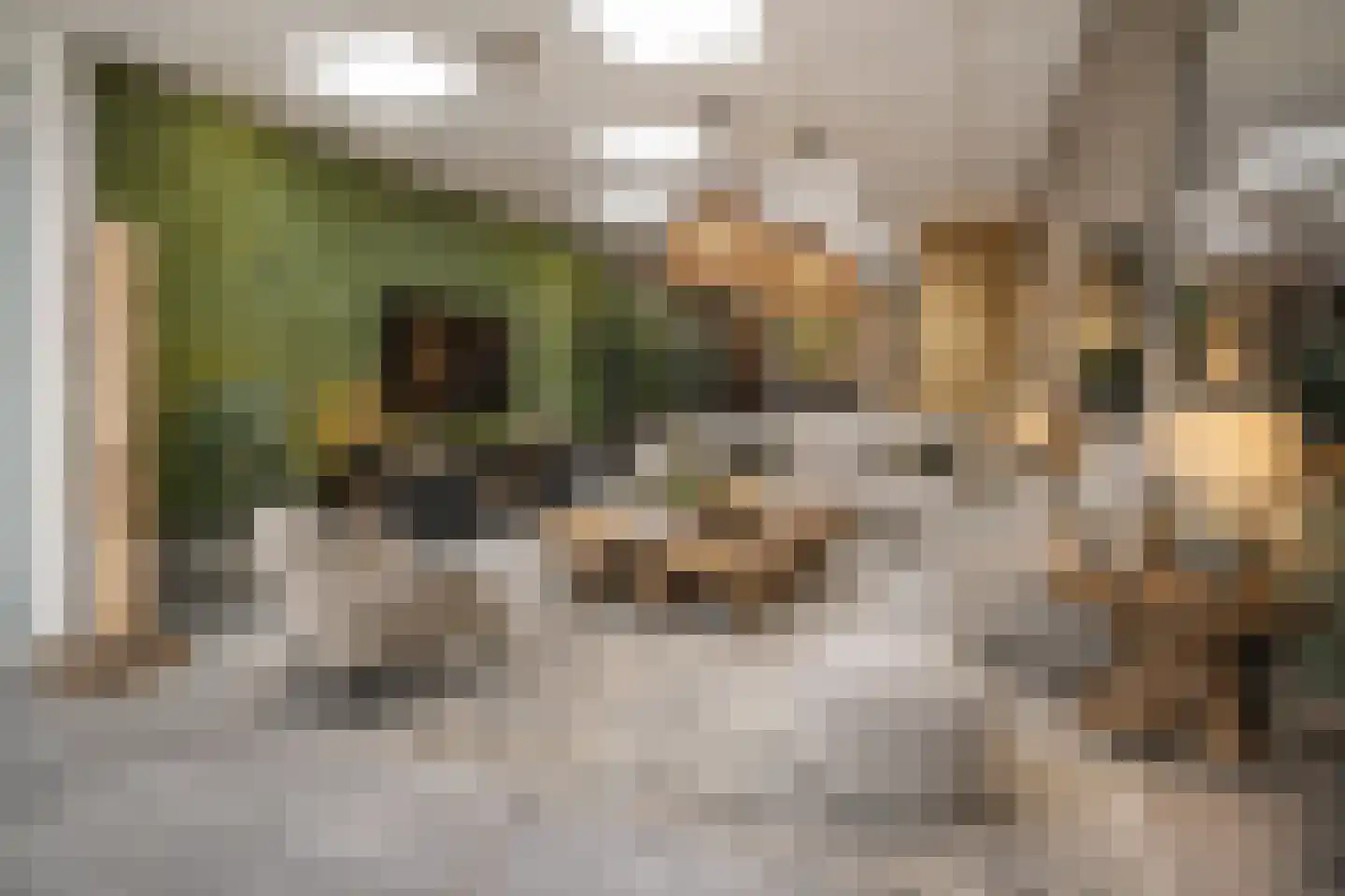 Lindenlaan 14 Kerkrade thumbnail 29