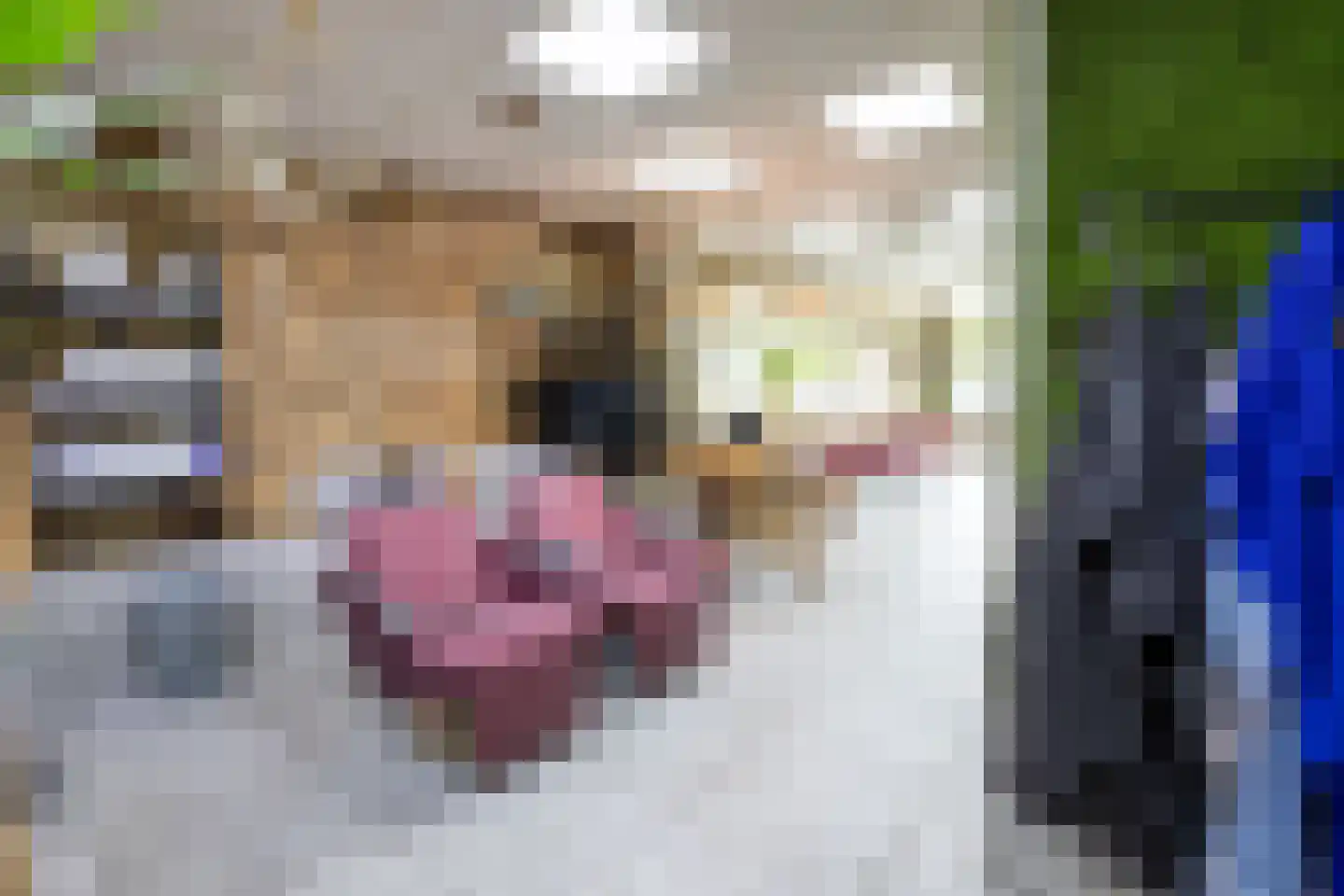 Lindenlaan 14 Kerkrade thumbnail 8
