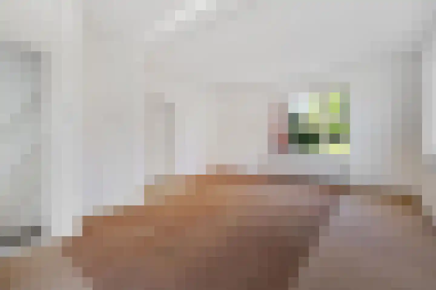 Lindenlaan 14 Nieuw-Buinen thumbnail 5