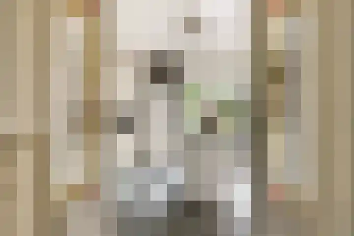 Lindenlaan 14 Nuenen thumbnail 13