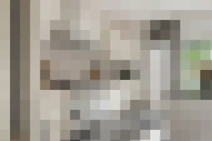 Lindenlaan 14 Nuenen thumbnail 14
