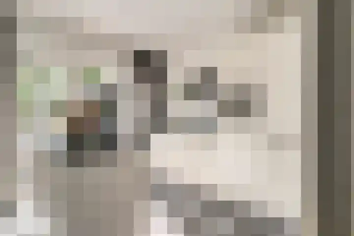 Lindenlaan 14 Nuenen thumbnail 15