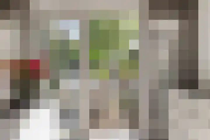 Lindenlaan 14 Nuenen thumbnail 16