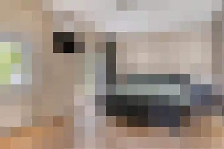 Lindenlaan 14 Nuenen thumbnail 19