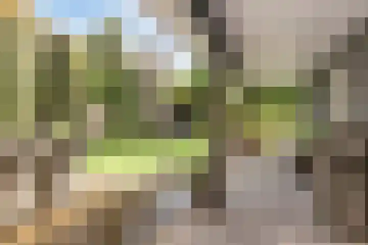 Lindenlaan 14 Nuenen thumbnail 32