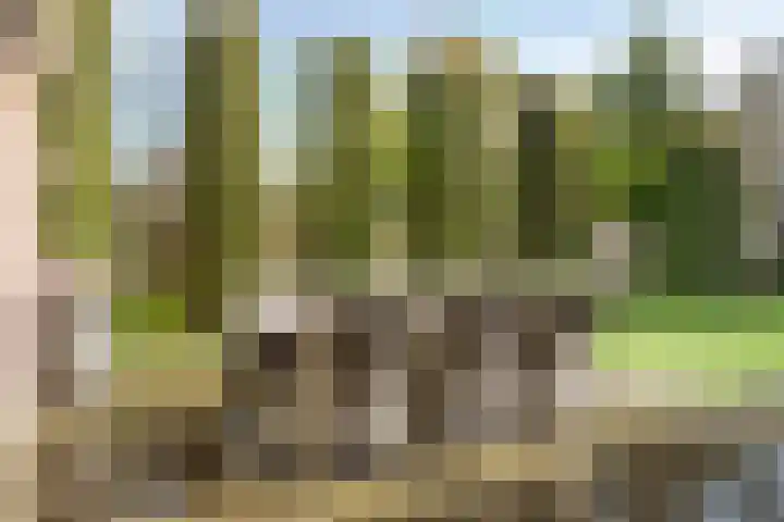 Lindenlaan 14 Nuenen thumbnail 33
