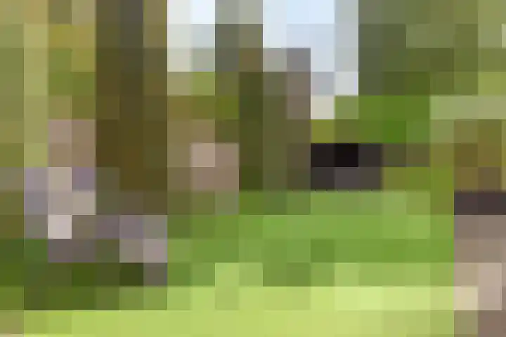 Lindenlaan 14 Nuenen thumbnail 34