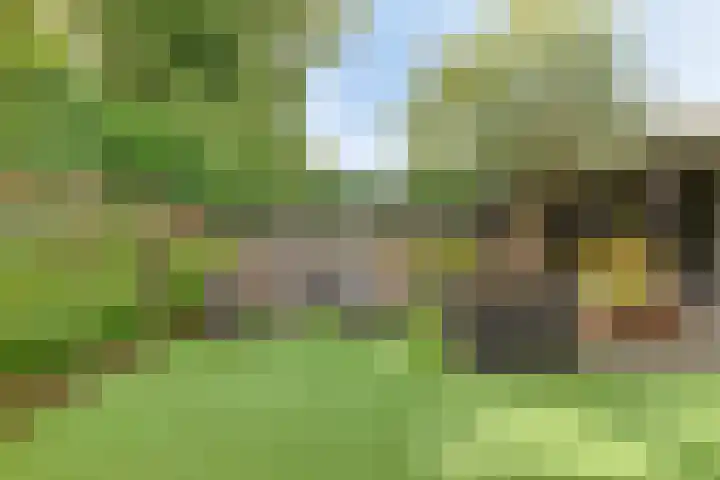 Lindenlaan 14 Nuenen thumbnail 36