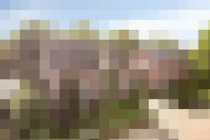 Lindenlaan 14 Nuenen thumbnail 40