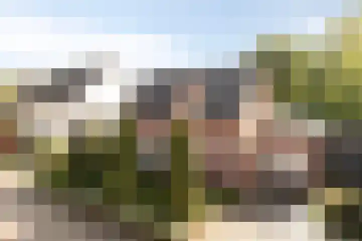 Lindenlaan 14 Nuenen thumbnail 41