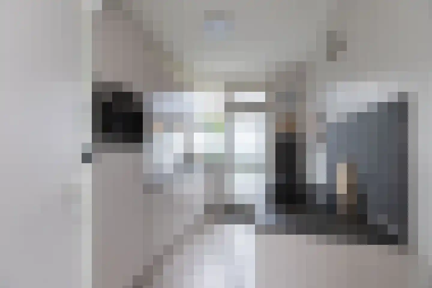 Lindenlaan 14 Oud-Alblas thumbnail 10