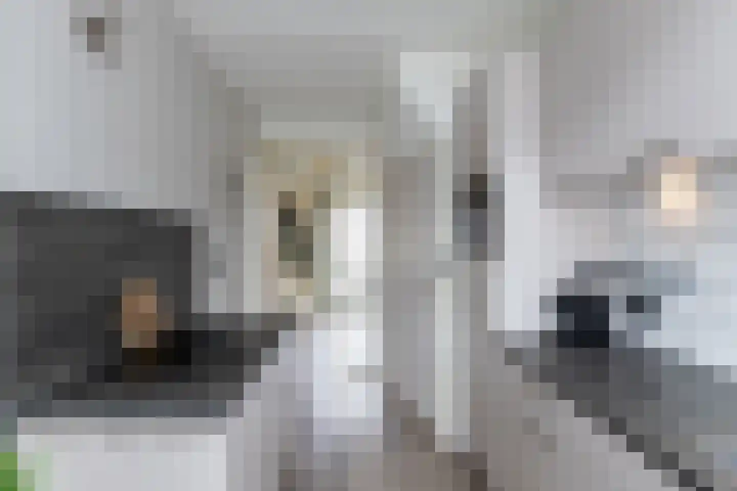 Lindenlaan 14 Oud-Alblas thumbnail 11