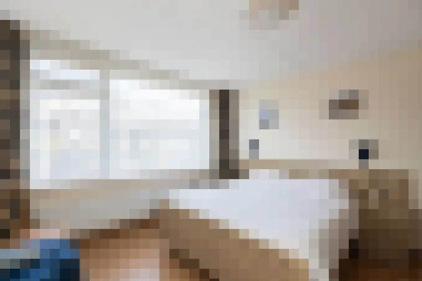 Lindenlaan 14 Oud-Alblas thumbnail 14