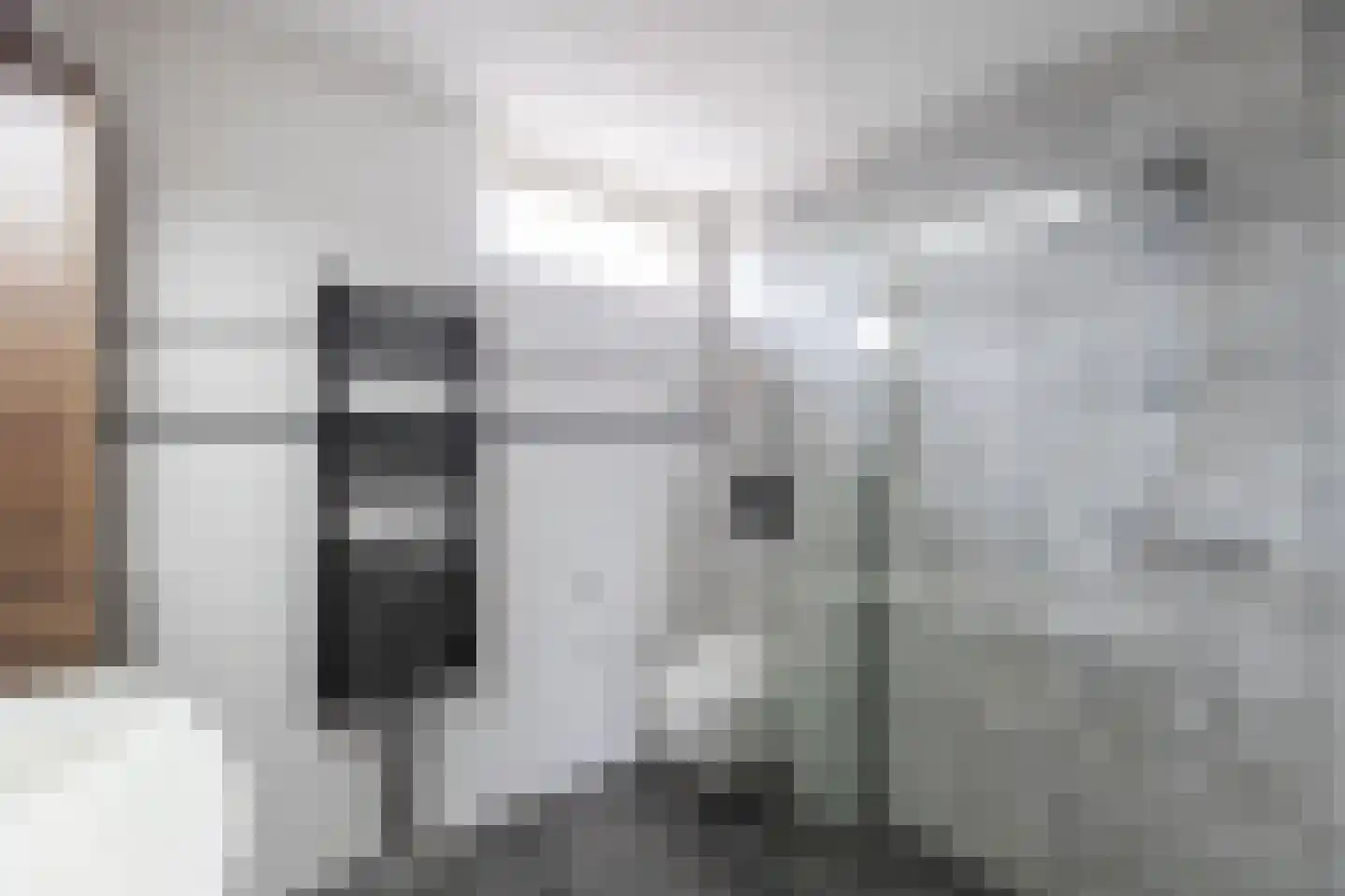 Lindenlaan 14 Oud-Alblas thumbnail 16